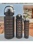 3 Set Motivational Water Bottle